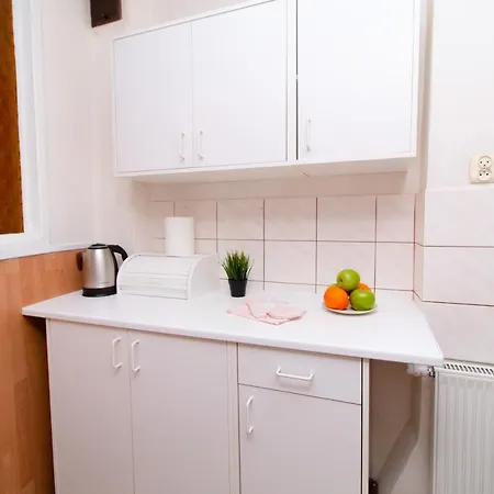 Apartment New Dluga *